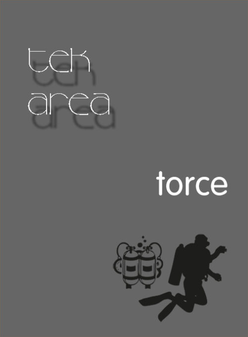 Torce