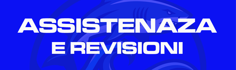 Assistenza e revisioni